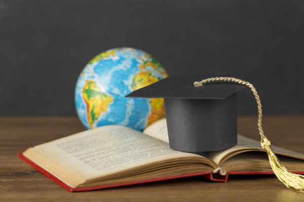 Education Sector Development