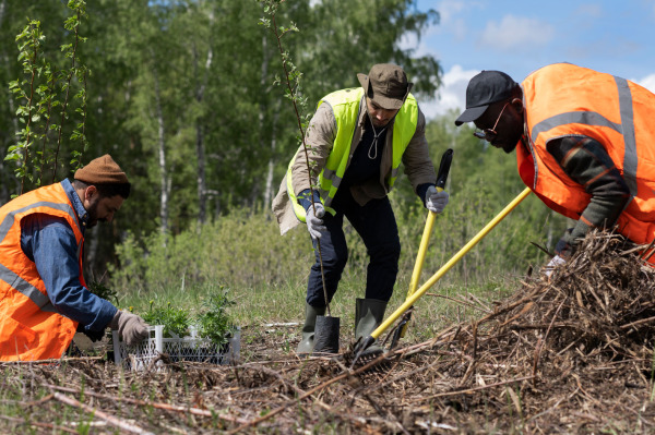 Environmental Impact Assessment