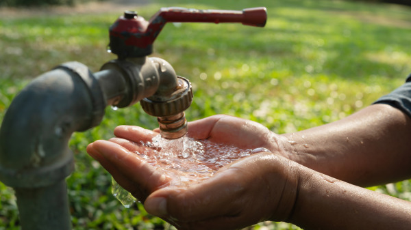 Health, Nutrition, Water Supply, and Sanitation